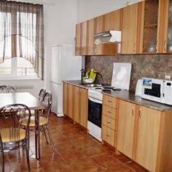 Апартаменты (2 комнаты + кухня-столовая)